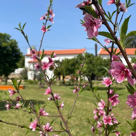 Casa Do Prado Ξενοδοχείο Tomar Εξωτερικό φωτογραφία